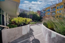 2655 Bush St #110, San Francisco, CA 94115 - See Est. Value, Schools & More