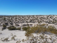 Fabens St, Fabens, TX 79838 | MLS# 864002 | Trulia