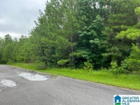 Stillwater Trl #0, Sylacauga, AL 35151 | MLS# 1359670 | Trulia Stillwater Trl  #0, Sylacauga, AL 35151 | MLS# 1359670 | Trulia