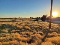 2726 Village Dr, Ione, CA 95640 | MLS# 223007803 | Trulia