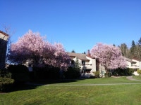 14200 NE 171st St #F102, Woodinville, WA 98072 | Trulia