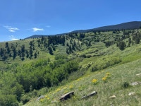 Tbd Rendezvous Trl, Livingston, MT 59047 | MLS# 11345842 | Trulia