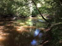 4837 Quail Tower Rd, Luverne, AL 36049 | MLS# 23888 | Trulia