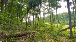 216 & 217 Alpenhorn Ct, Bellaire, MI 49615 | Trulia