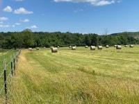 3064 Madison St #7615, Huntsville, AR 72740 | MLS# 1253323 | Trulia 3064 Madison St   #7615, Huntsville, AR 72740 | MLS# 1253323... 