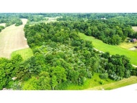 5561 Blue Ribbon Rd, Hillsboro, OH 45133 | Trulia