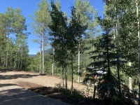 218 S Commercial St, Rico, CO 81332 | MLS# 41998 | Trulia 218 S  Commercial St, Rico, CO 81332 | MLS# 41998 | Trulia