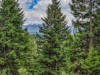 5541 Lupine Ln, McCall, ID 83638 | MLS# 542586 | Trulia