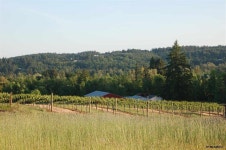 409 James Howe Rd, Dallas, OR 97338 | MLS# 780242 | Trulia