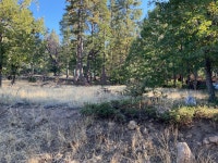 3271 Dalmatia Dr, Arnold, CA 95223 | Trulia