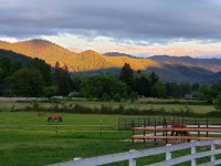 5465 Rogue River Hwy, Gold Hill, OR 97525 | MLS# 220130711 | Trulia