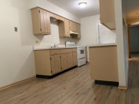 215 Woodrow St #1, Manhattan, IL 60442 - See Est. Value, Schools & More