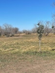 6604 County Road 159, Pawnee, TX 78145 | Trulia