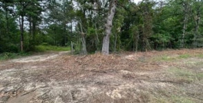 Highway 170, Vivian, LA 71082 | MLS# 20333995 | Trulia