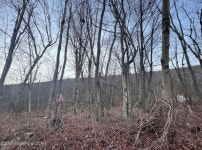 Yard St, Nesquehoning, PA 18240 | MLS# 25-484 | Trulia