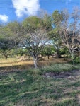 County Road 1360 & Dm #631, Taft, TX 78390 | MLS# 401003 | Trulia County Road 1360 & Dm   #631, Taft, TX 78390 | MLS# 401003 | Trulia