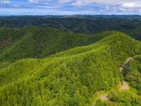 Criteser Loop, Toledo, OR 97391 | MLS# 24260213 | Trulia
