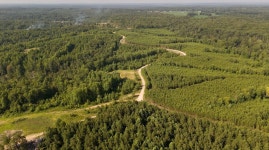 Cox hollow Rd, Dover, TN 37058 | MLS# 11329195 | Trulia
