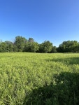 874 Tracy Rd, Watertown, TN 37184 - See Est. Value, Schools & More