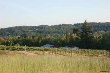 409 James Howe Rd, Dallas, OR 97338 | MLS# 780242 | Trulia