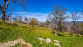 1 John Muir Dr, Coarsegold, CA 93614 | MLS# 596889 | Trulia