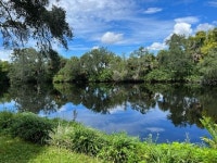 312 E Hollywood St, Tampa, FL 33604 - See Est. Value, Schools & More 312 E  Hollywood St, Tampa, FL 33604 - See Est. Value... 