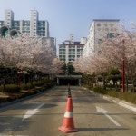 대구과학대학교