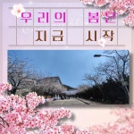 | 전기제어학부 SNS