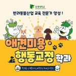 반려동물산업 교육 전문가 양성, 애견미용·행동교정학과를 소개합니다! | 광고파일 공유 및 동명 바로알리기 캠페인