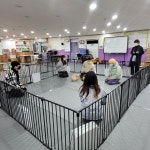동명대학교 애견미용행동교정학과 정시모집 지원자 전공체험활동 | 애견미용·행동교정학과