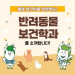 부산 반려동물학과 | 동명 바로알리기 캠페인