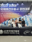 2023 코리아애견미용사 경연대회 참가 | 애견미용·행동교정학과