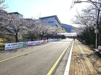 [동명대학교 2025년 봄 벚꽃길 축제] 차 없는 거리 행사 | 응급구조학과