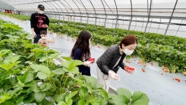 家族の心が通いあう“絆時間”｜バックナンバー｜My Fresh Life　最近見つけた、気持ちのいい暮らし方。｜テレビ東京... 