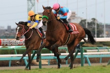 【大阪杯】ブラストワンピース3枠3番、ワグネリアン4枠4番。GI初制覇を目指すダノンキングリーは6枠8番 枠順確定｜テレ東スポーツ：テレ東