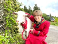 「ヤギと大悟」今回のゲストは知念侑李（Hey! Say! JUMP）が登場！お米と味噌が有名な千葉県長柄町で雑草モグモグ旅！... 