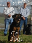Cell Dogs - Where to Watch and Stream - TV Guide Cell Dogs