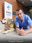 Operation Ouch! Hospital Takeover - Where to Watch and Stream - TV Guide Operation Ouch! Hospital Takeover