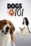 Dogs 101 - Full Cast & Crew - TV Guide Dogs 101