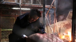 미옥 이선균의 개농장이 의미하는 것