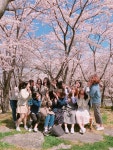 2021-03-0424 | 갤러리 - 17.04.05 - 벚꽃산책 | 유아교육과