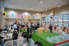 울산과학대학교 반려동물보건과>학부게시판 > 핫이슈>핫이슈 상세 내용 반려동물보건과