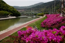 의령여행 > 관광지 > 강/하천 > 글보기 의령군청 | 문화관광