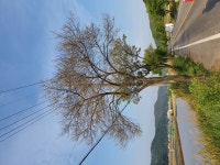 게시물 보기 페이지