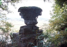 게시물 보기 페이지