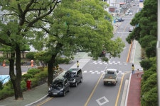 군정소식 > 의령소식 > 보도자료 > 을지연습 연계 24일 민방공 대피훈련 | 의령군청