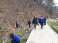 군정소식 > 의령소식 > 보도자료 > 대의면 바르게살기위원회-자연보호협의회 환경정화 활동 | 의령군청