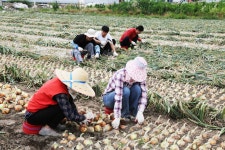 게시물 보기 페이지