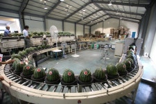 군정소식 > 의령소식 > 보도자료 > 의령군, 7월 중 홍콩 농산물 수출업체와 MOU 체결 | 의령군청