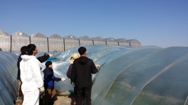 게시물 보기 페이지